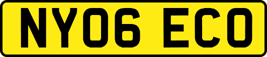 NY06ECO