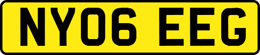 NY06EEG