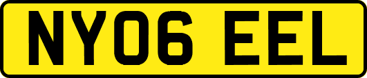 NY06EEL