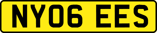NY06EES