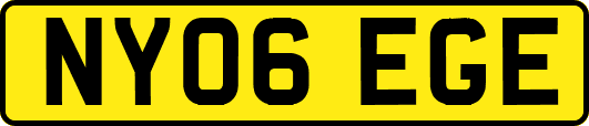 NY06EGE