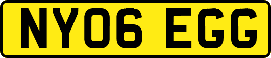 NY06EGG
