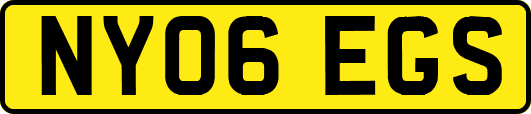 NY06EGS
