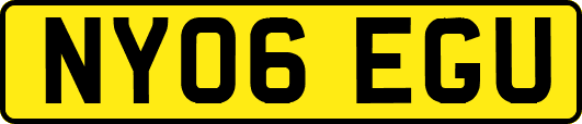 NY06EGU