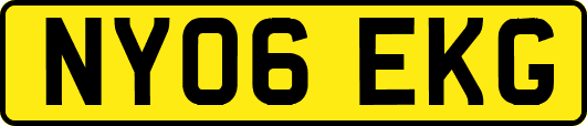 NY06EKG