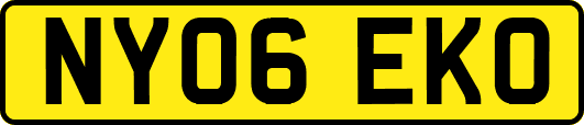 NY06EKO