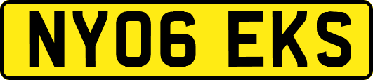 NY06EKS