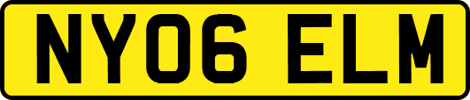 NY06ELM