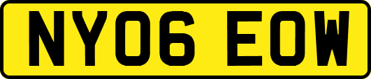 NY06EOW