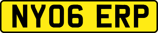 NY06ERP