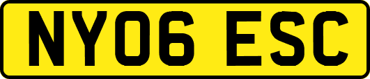 NY06ESC