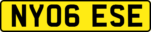 NY06ESE