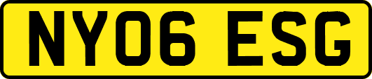 NY06ESG