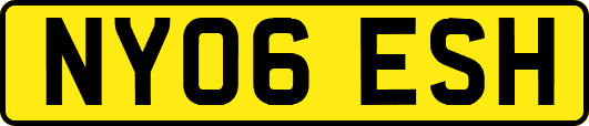 NY06ESH