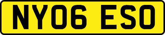 NY06ESO