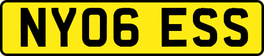 NY06ESS