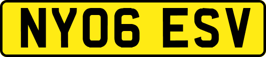 NY06ESV