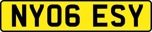 NY06ESY