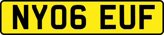 NY06EUF
