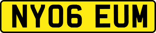 NY06EUM