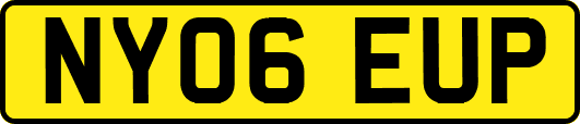 NY06EUP
