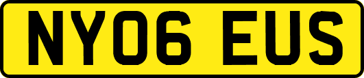 NY06EUS