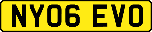 NY06EVO