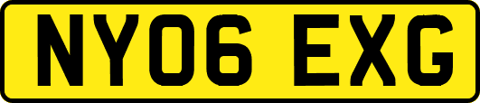 NY06EXG