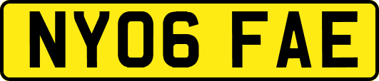 NY06FAE