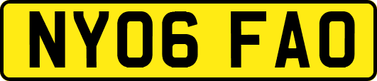 NY06FAO
