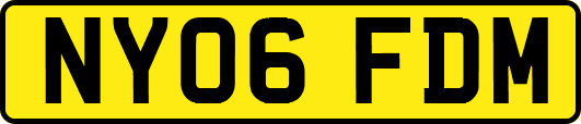 NY06FDM