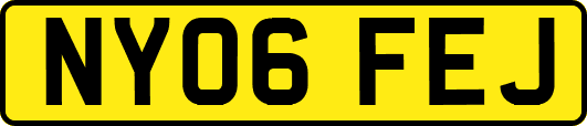 NY06FEJ