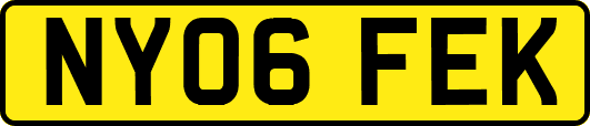 NY06FEK