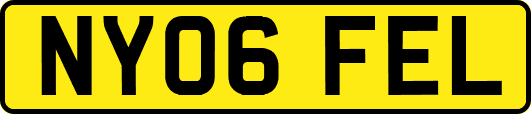 NY06FEL