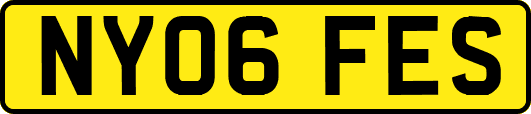 NY06FES