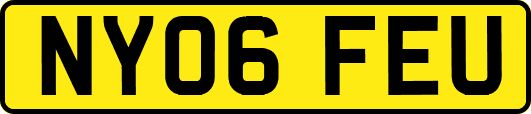 NY06FEU