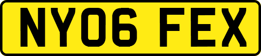 NY06FEX
