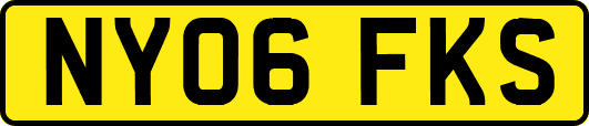 NY06FKS