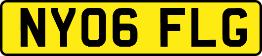 NY06FLG