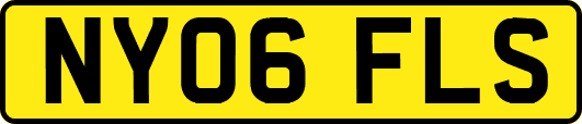 NY06FLS