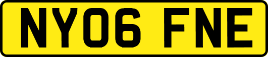 NY06FNE