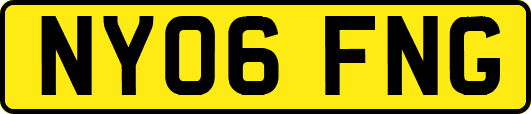 NY06FNG