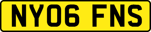 NY06FNS