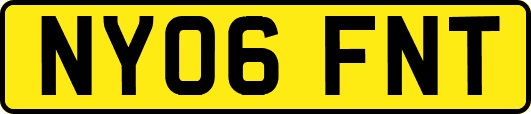 NY06FNT