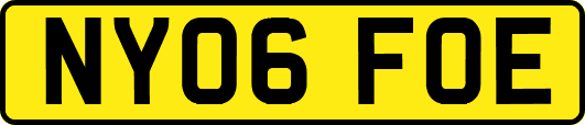 NY06FOE