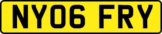 NY06FRY