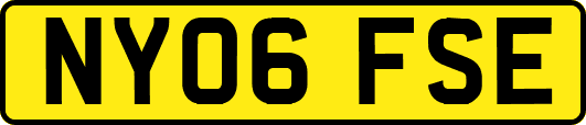 NY06FSE