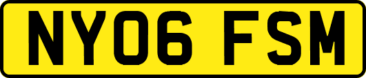 NY06FSM