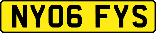 NY06FYS