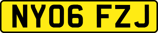 NY06FZJ
